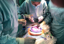 Fetalchirurgie: Wenn das Baby im Bauch krank ist Fetalchirurgische Operation